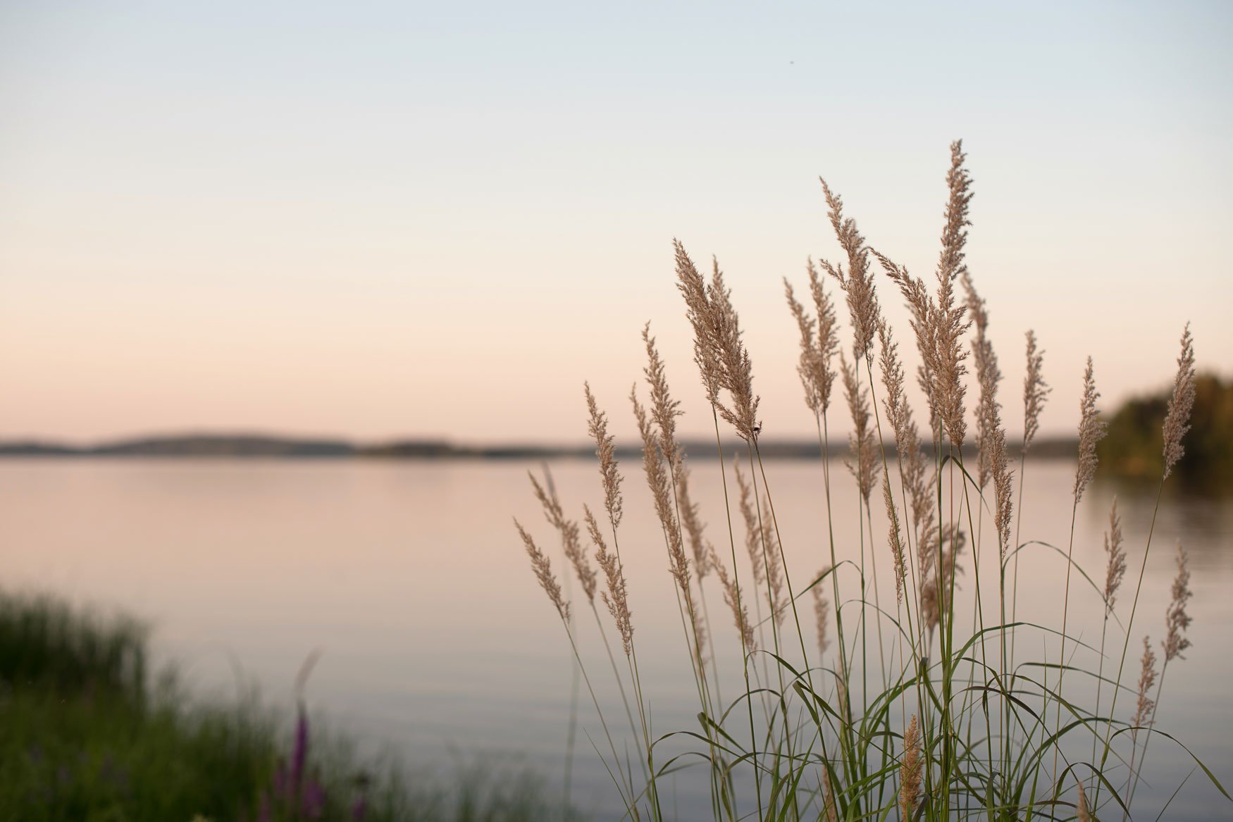 Web-Res-EQ-Landscape